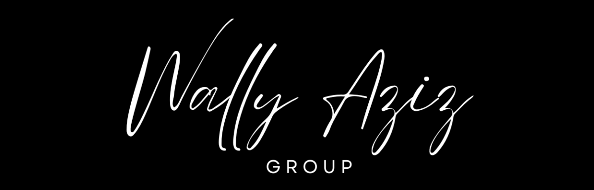 Wally Aziz Group Logo